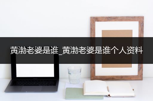 黄渤老婆是谁_黄渤老婆是谁个人资料